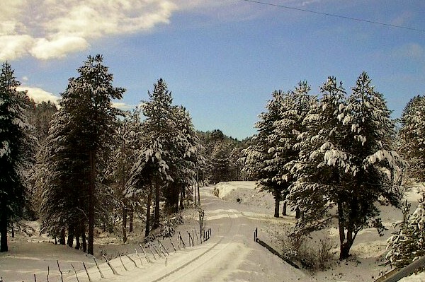 Winter in den Bergen